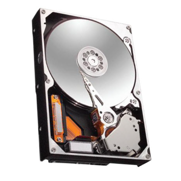 ST9250612NS Seagate Constellation.2 250GB 7200RPM 64MB ...